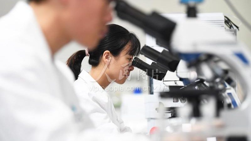 CDMO服务收费标准：揭秘医药研发背后的成本构成