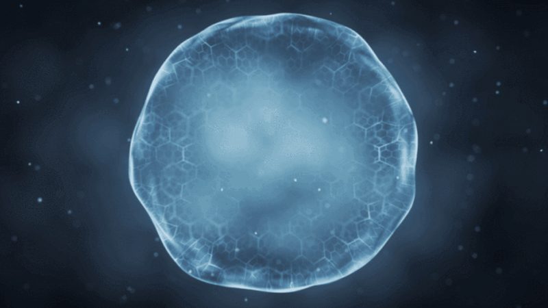成都生物医药外包报价单：揭秘生物医药外包服务的价格构成