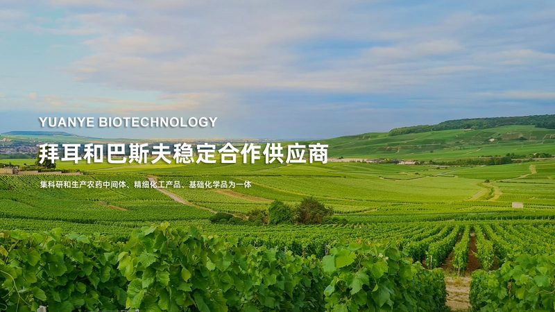 CRO优化如何提升用户体验：关键要素与策略