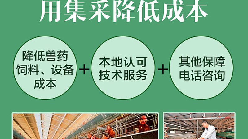 引物合成：揭秘定制化DNA工具的成本构成**