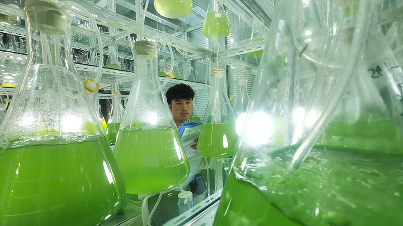 生物制品区域代理商，如何选择最合适？**